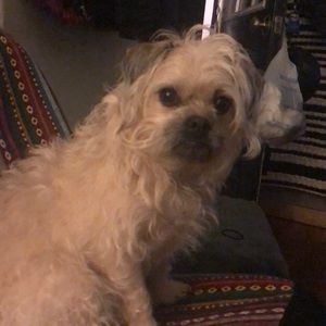 Meet your Posher, Jacqueline